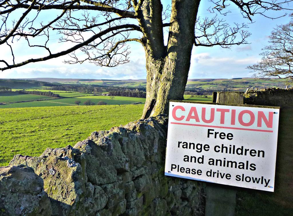 Bed and Breakfast Rye Hill Farm Hexham Exterior foto