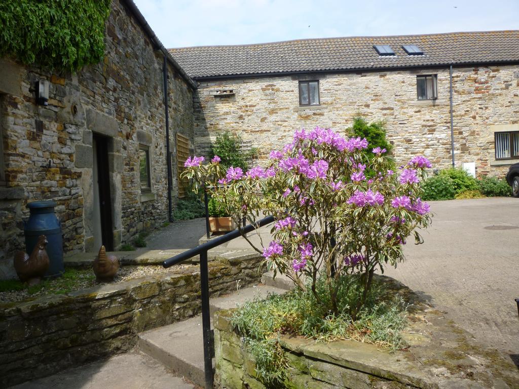 Bed and Breakfast Rye Hill Farm Hexham Exterior foto