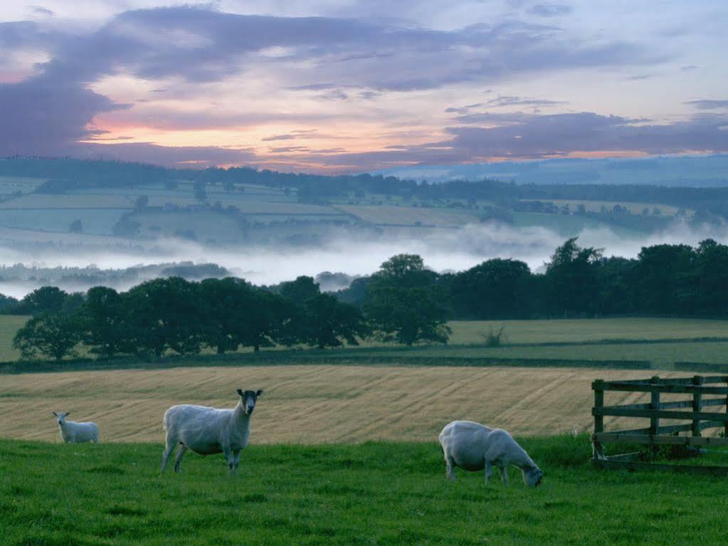 Bed and Breakfast Rye Hill Farm Hexham Exterior foto